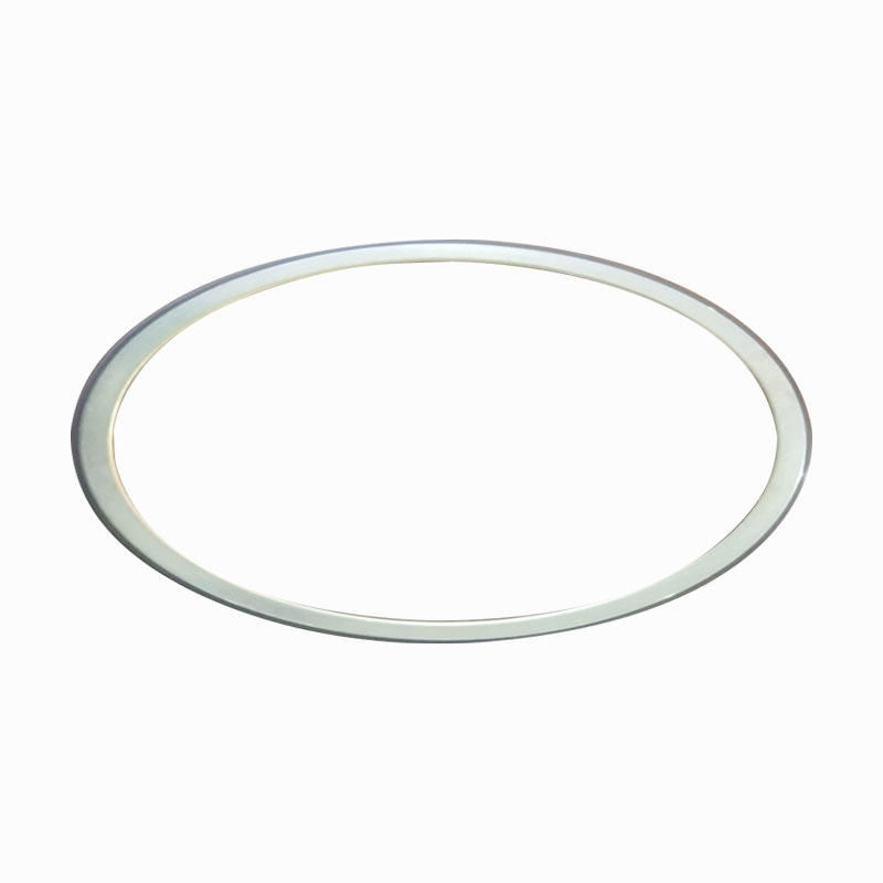320 Poles Large Magnetic Ring