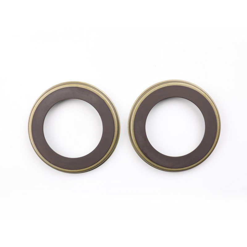 ABS magnetic sealing ring