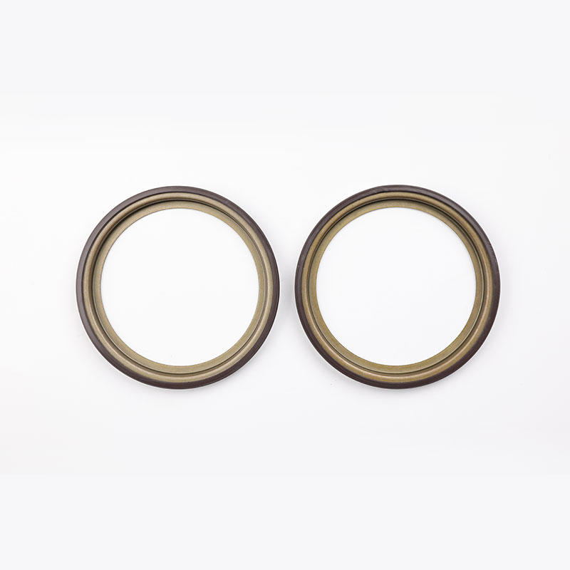 ABS Magnetic Oil Seal