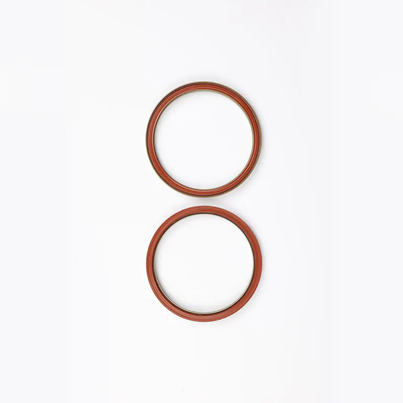 ABS sealing ring for bearing